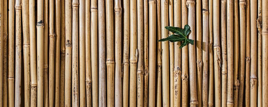The definitive list of bamboo products you can buy